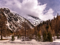Rätische Bahn - Bernina Express